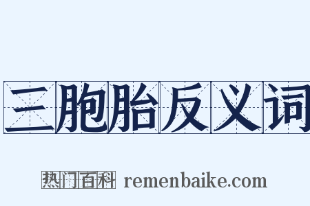 三胞胎反义词是什么意思的图片